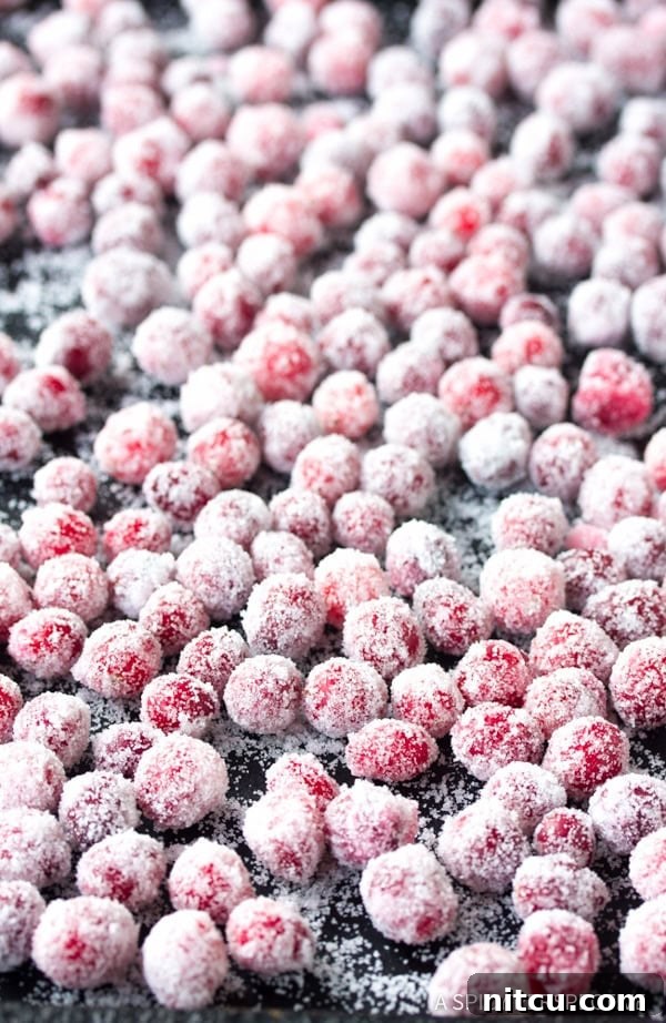Dazzling Vanilla Orange Candied Cranberries - Step 4: Drying on a baking sheet