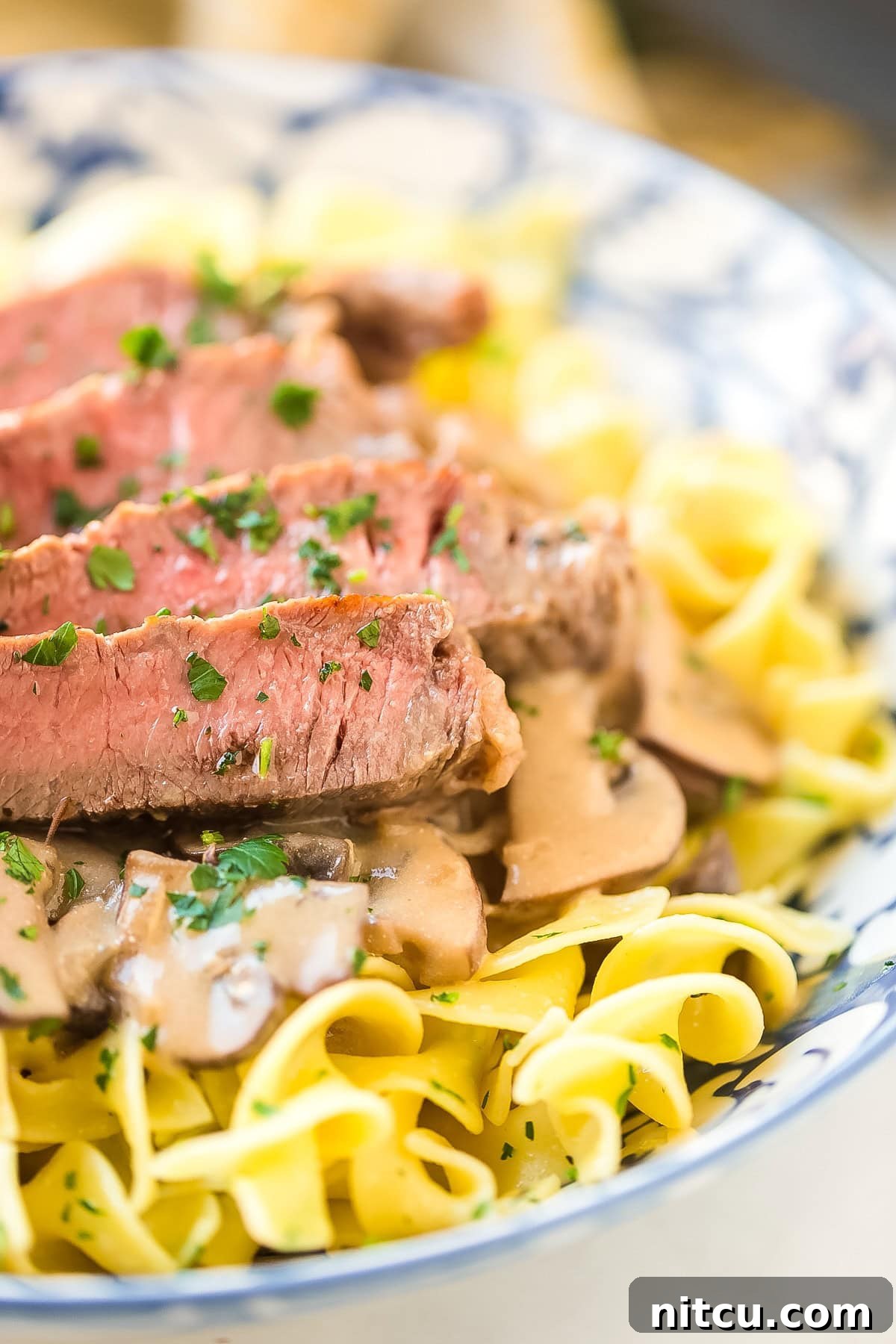 Easy Beef Stroganoff with Butter Noodles, a perfect family meal.