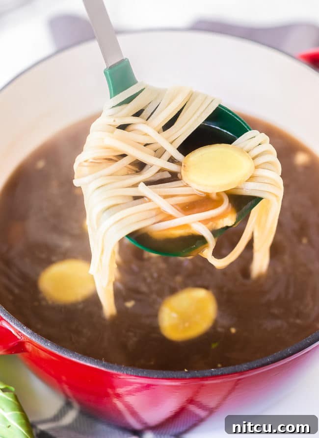 Ladle lifting up a heaping serving of broth and noodles.