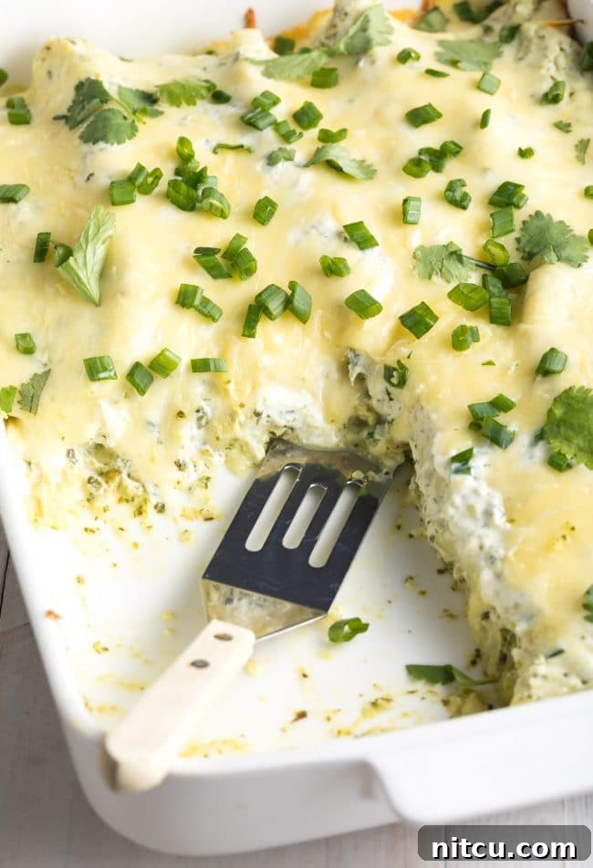 Baked enchiladas suizas in a casserole dish, bubbling and golden.