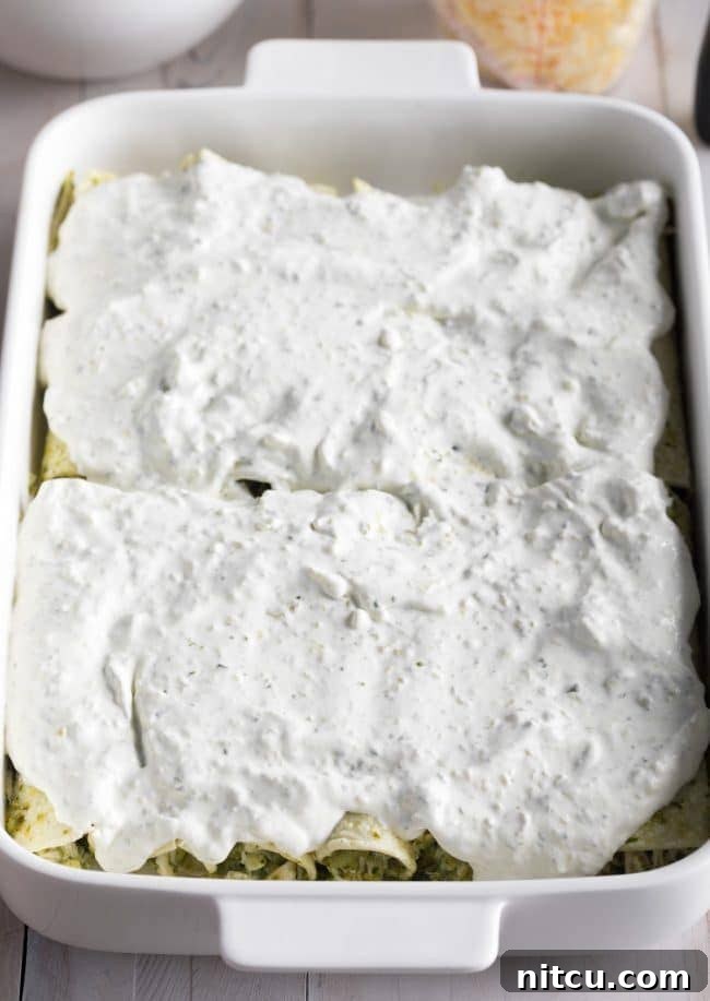 Enchiladas covered in Suiza Sauce and shredded cheese in a baking dish, ready for the oven.