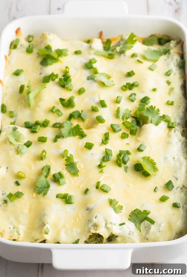 Baked Enchilada Suiza in a white pan covered with fresh cilantro and scallion garnish, ready to serve.