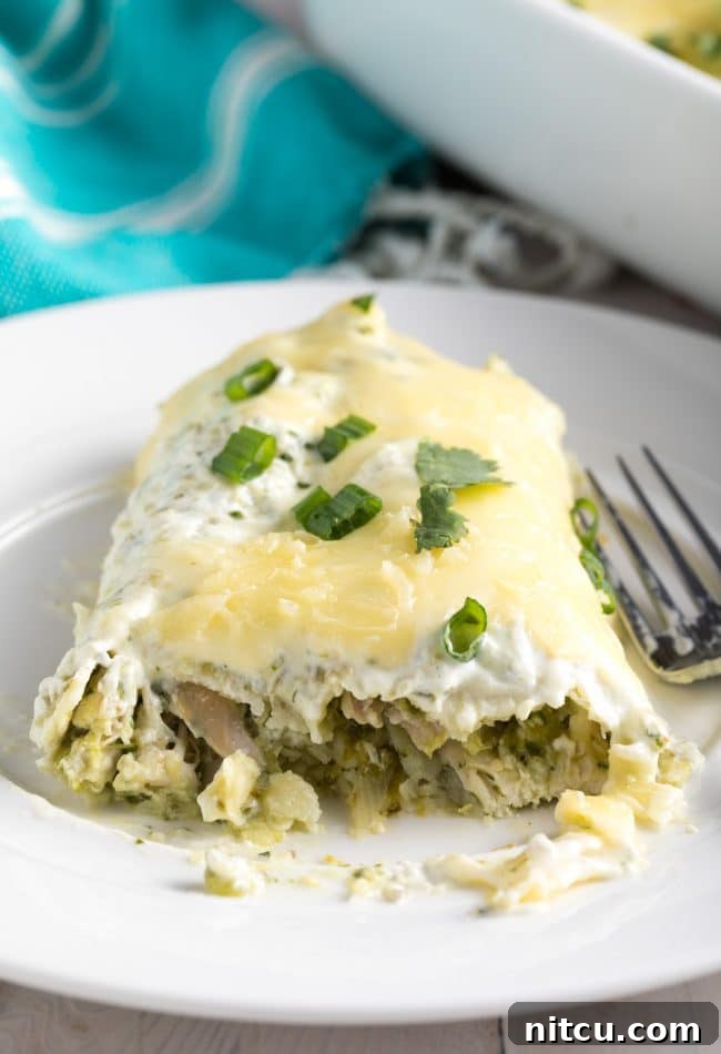 Creamy chicken enchiladas cut in half so that you can see the inside, showing layers of chicken, cheese, and sauce.