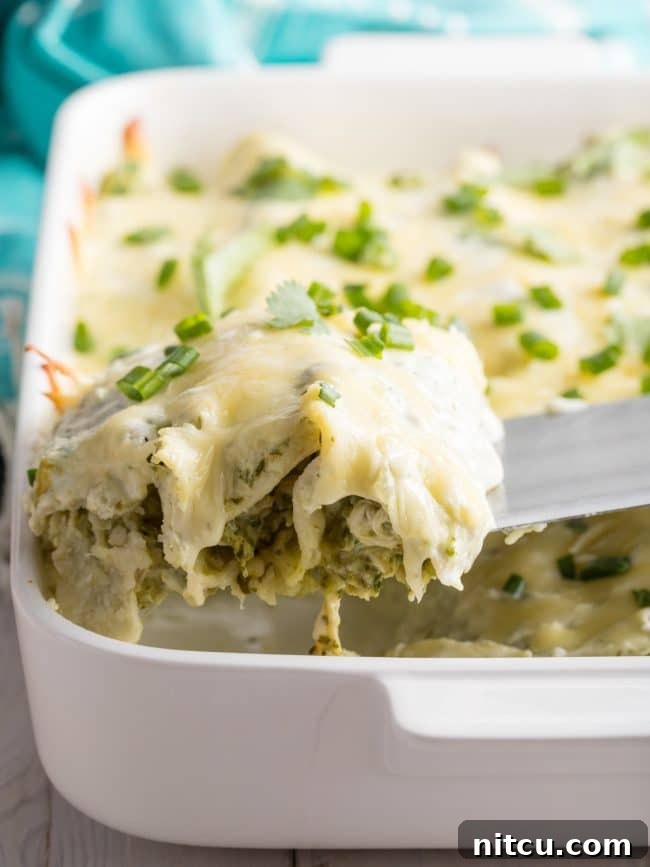Perfect Enchiladas Suizas lifted out of pan, showing the creamy filling.