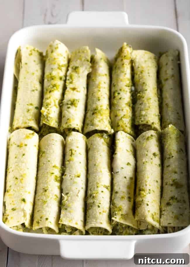 Rolled up chicken enchiladas suiza arranged in a white baking dish.