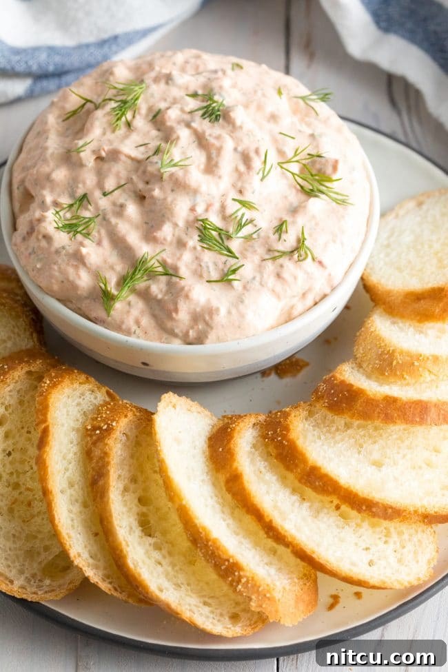 A small rustic bowl of smoked fish dip, garnished with fresh dill sprigs, surrounded by perfectly toasted bread pieces.