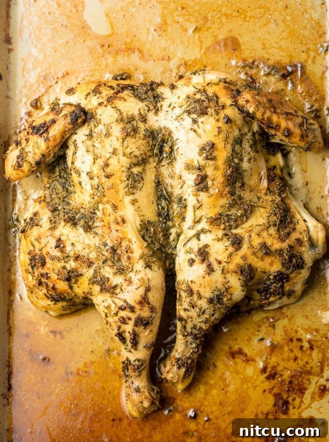 How To Spatchcock Chicken In 3 Steps: Garlic Herb Roast Chicken Recipe