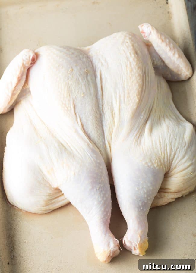 Step 3: Perfectly Trimmed Wings on a Spatchcocked Chicken