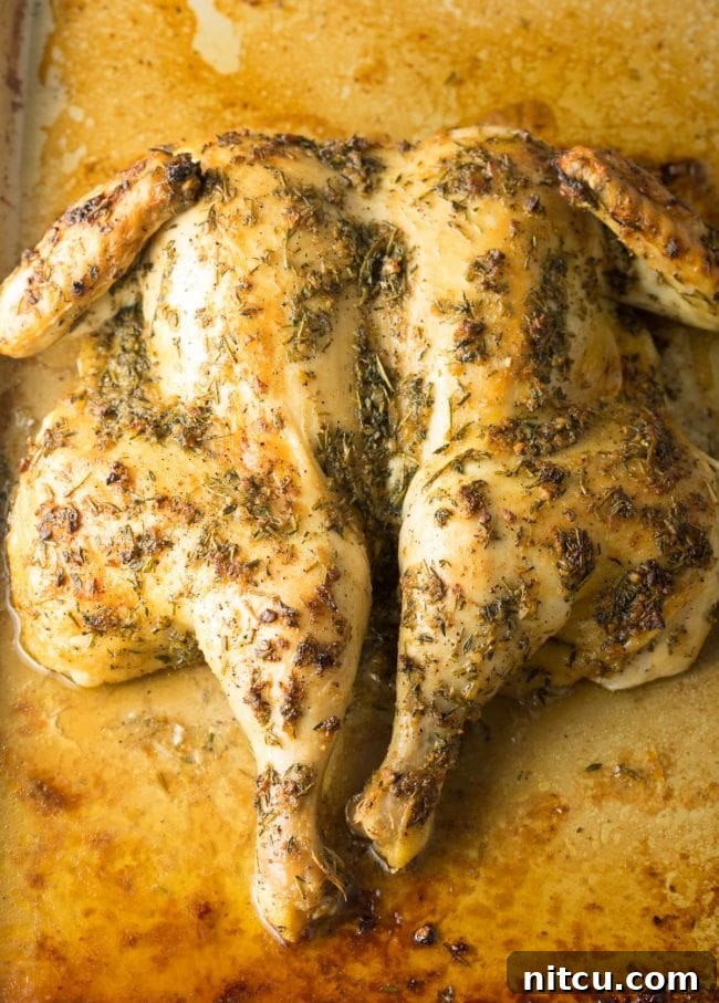 Spatchcocking Tips and Garlic Herb Roast Chicken Recipe