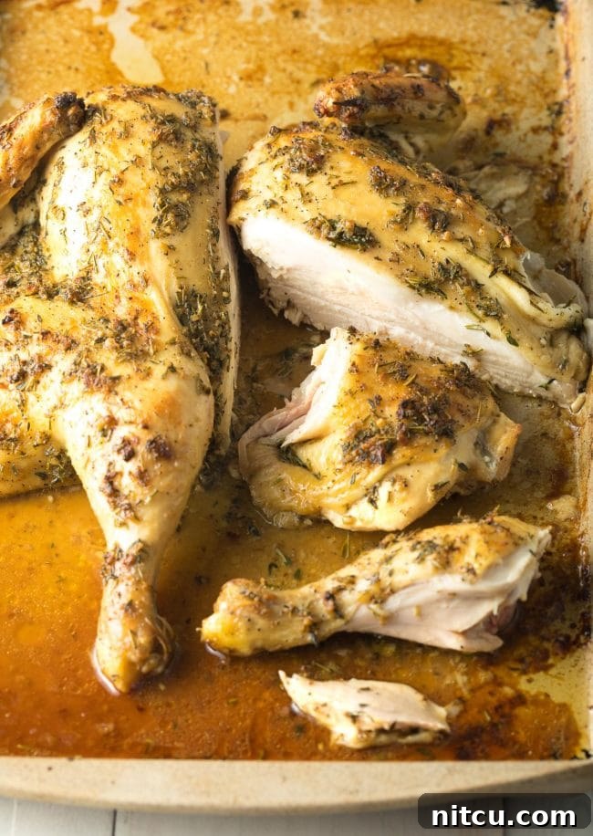 Delicious Garlic Herb Spatchcock Chicken for a Quick Meal