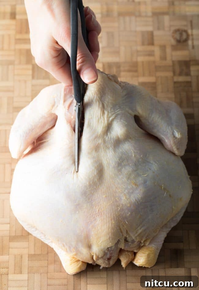 Step 2: Preparing the Chicken for Flattening