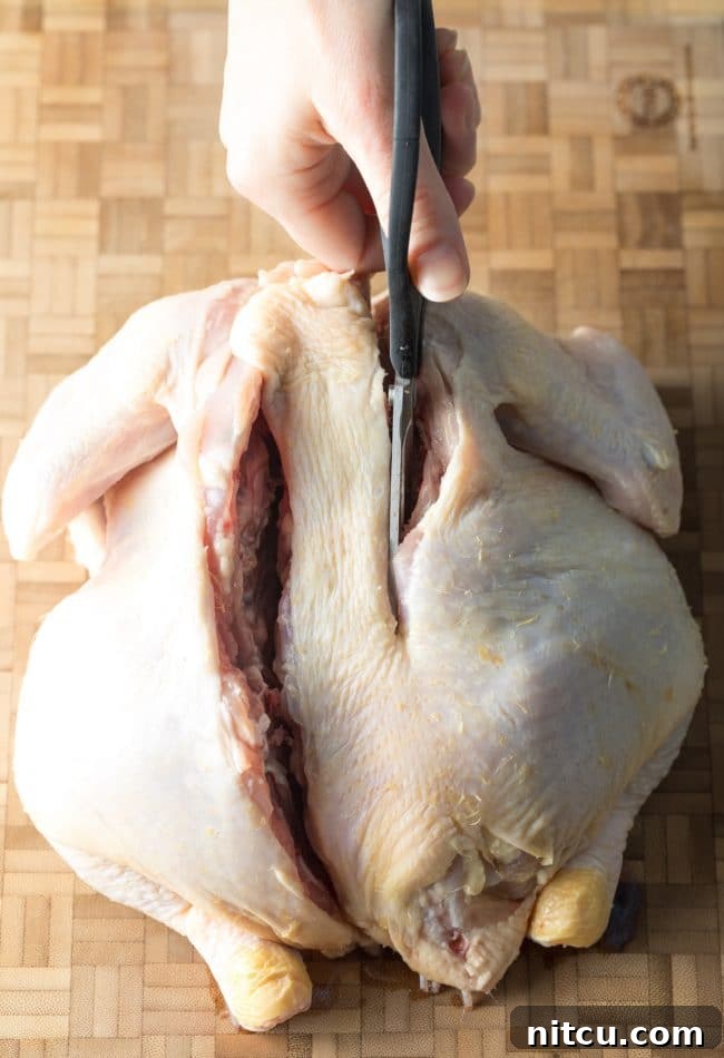 Step 2: Flattening the Whole Chicken After Backbone Removal