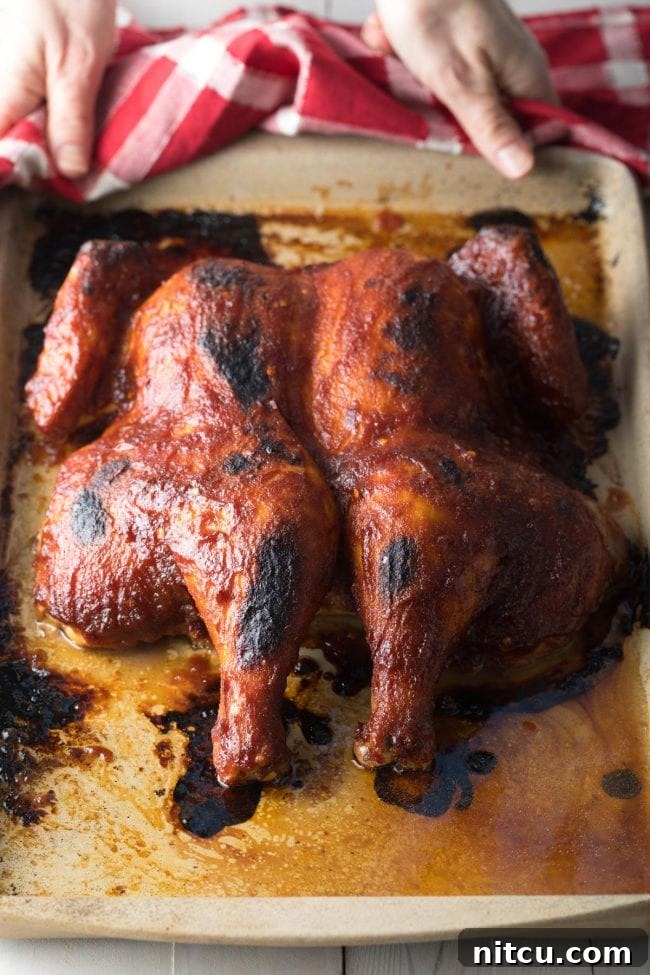 Coca Cola Chicken fresh out of the oven, golden brown and glistening with glaze.