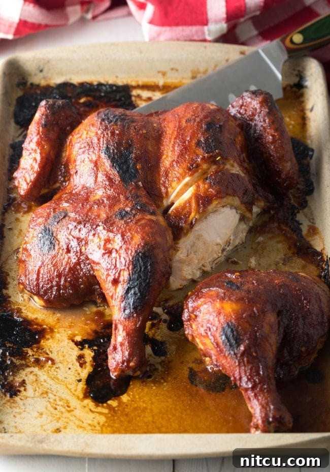 Slicing into a perfectly cooked Coca Cola Spatchcock Chicken.