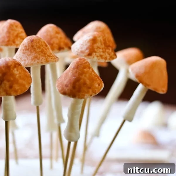 Mushroom fondant on toothpicks. 