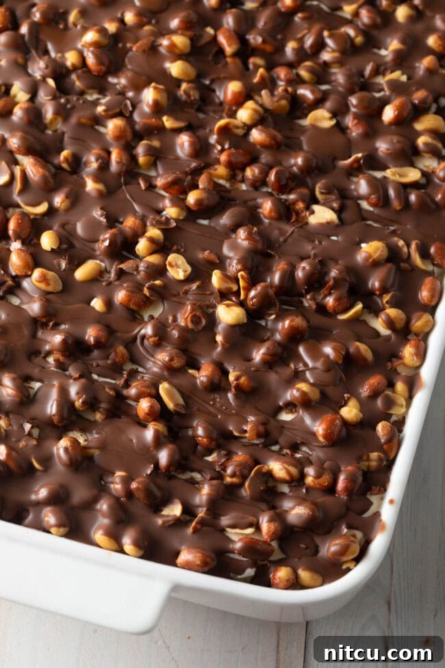 A glorious Buster Bar Ice Cream Cake in a white baking dish, ready to be served.