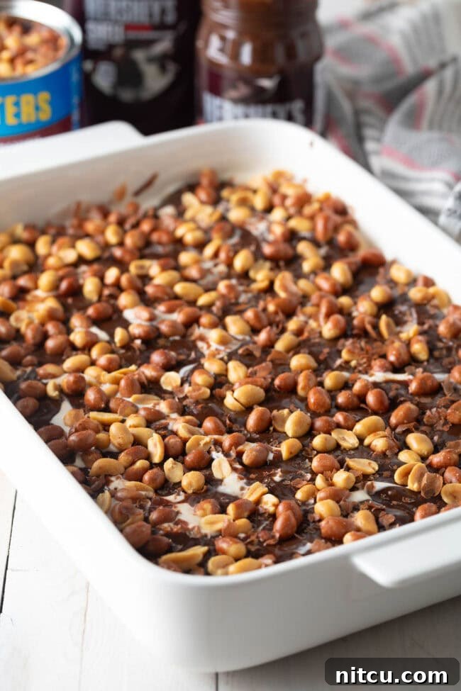 Red skin peanuts sprinkled generously over the hot fudge layer.