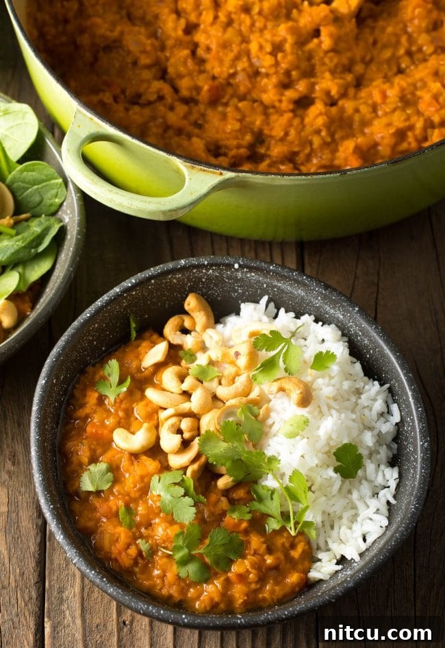 Top down view bowl of red lentil curry with white rice, all topped with whole raw cashews, red onion slices, and fresh chopped cilantro.