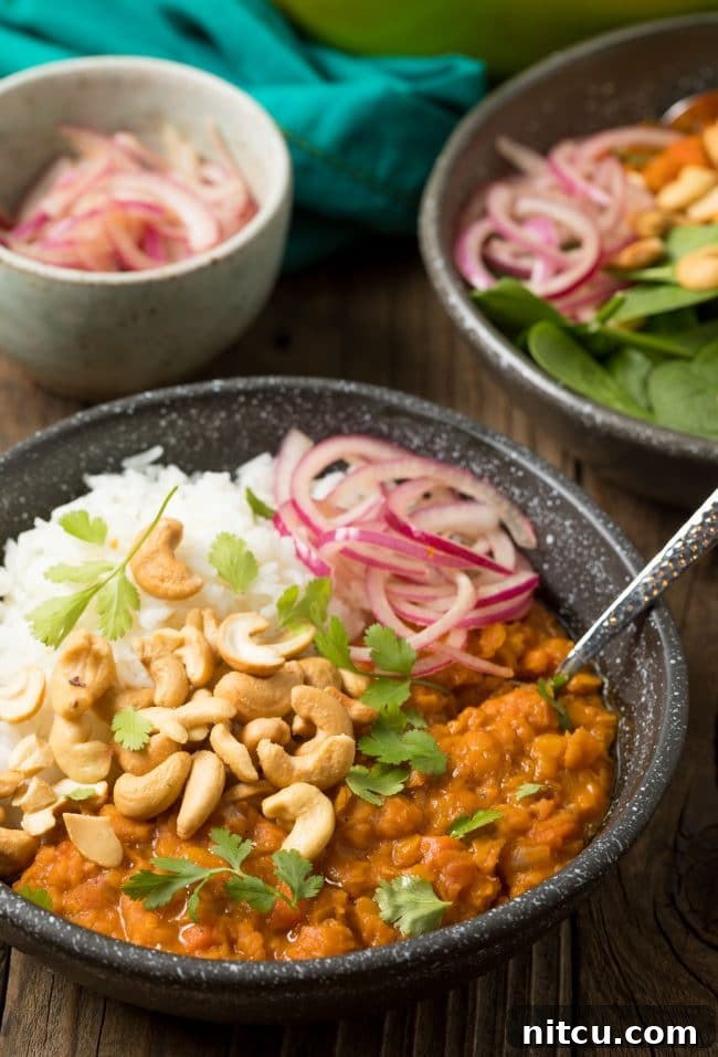 Bowl of curried red lentils with white rice, all topped with whole raw cashews, red onion slices, and fresh chopped cilantro.