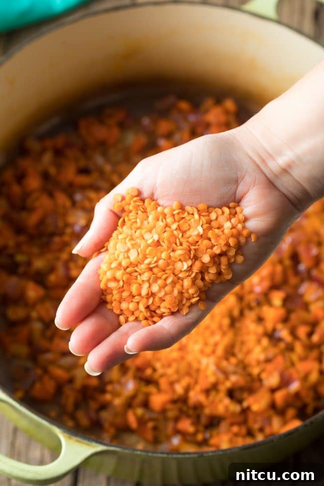 Hand holding palmful of dry red lentils.