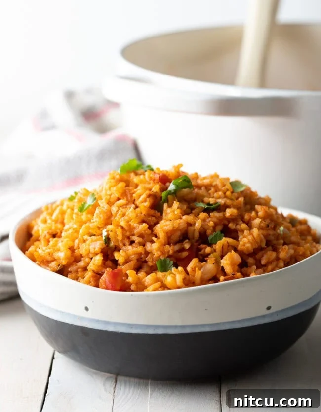 A serving bowl overflowing with fluffy, red Mexican rice, garnished with vibrant green chopped cilantro. The rice appears perfectly cooked, with individual grains visible and a rich, inviting color. This close-up highlights the texture and deliciousness of the final dish, ready for a family meal.