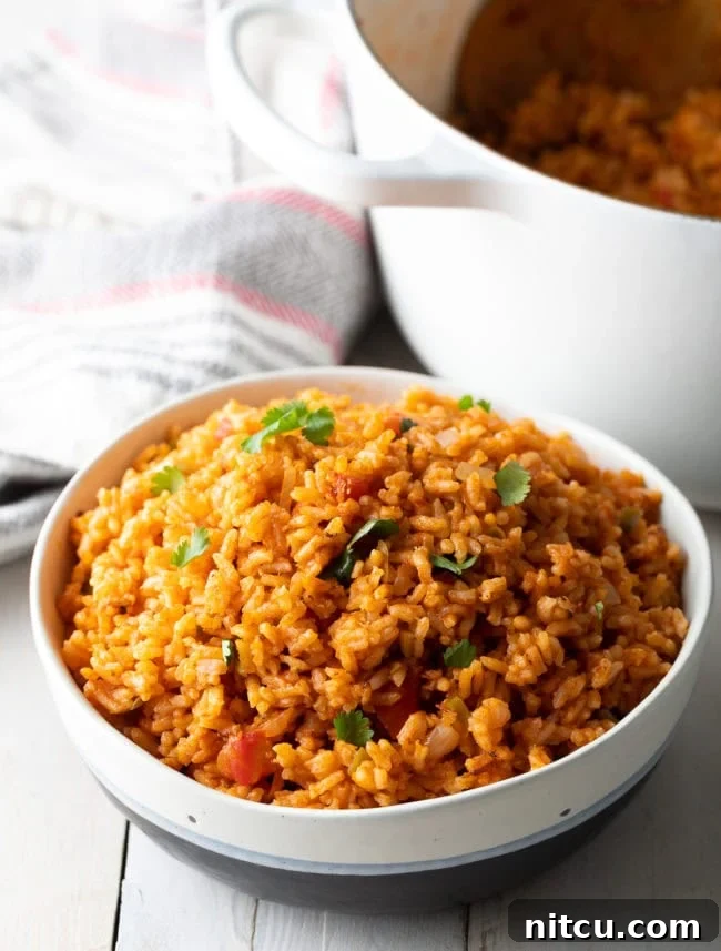A large serving bowl filled with a generous portion of fluffy, red Mexican rice, garnished with fresh cilantro, ready to be shared. The focus is on the abundance and inviting appearance of the finished dish, emphasizing its role as a perfect communal side for any Mexican-themed meal.
