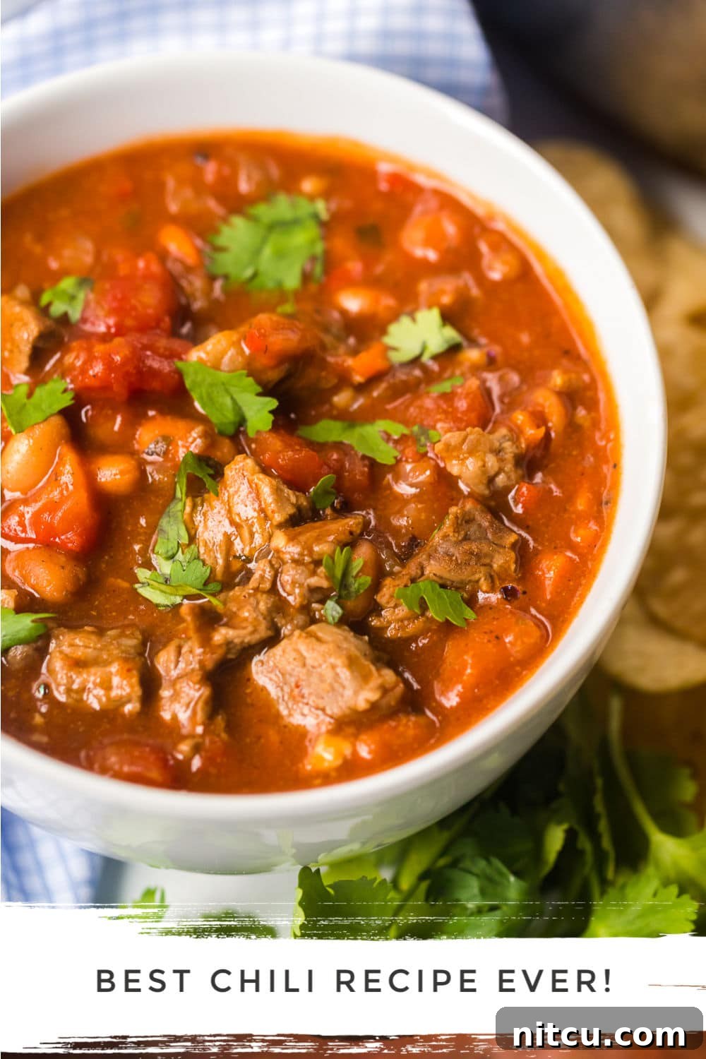 A steaming bowl of homemade steak chili, garnished with fresh cilantro, ready to be enjoyed.