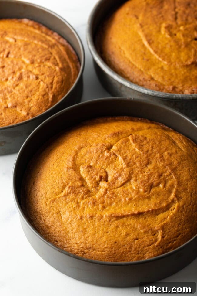 Baked cake layers. 