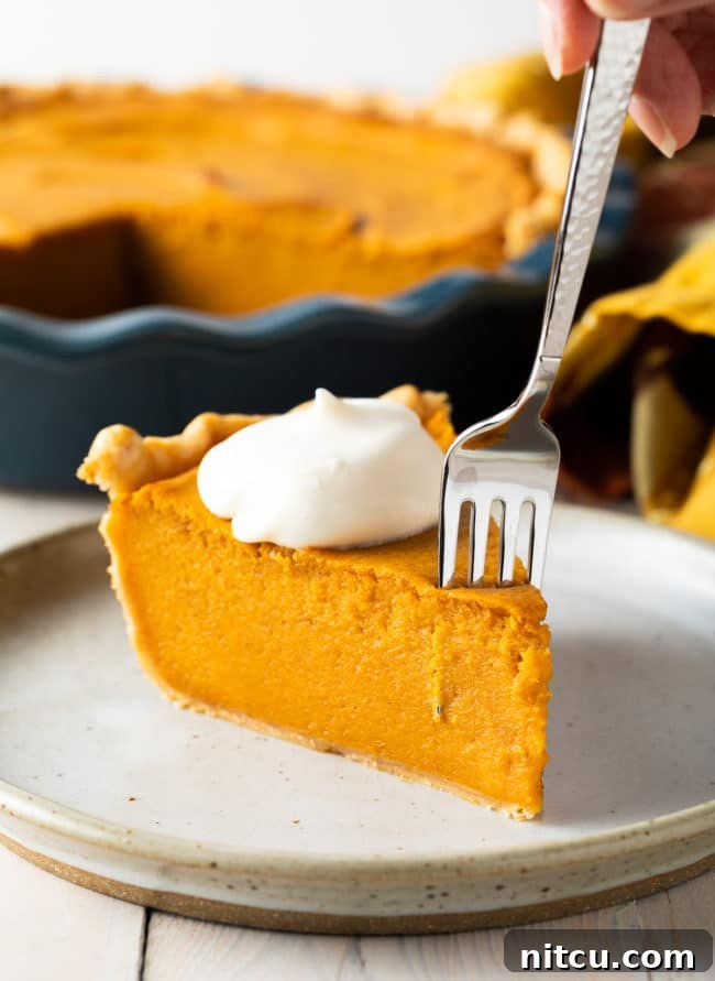 A perfectly sliced piece of Southern Sweet Potato Pie resting on a plate, showing the smooth, creamy filling and flaky crust. It's garnished simply, emphasizing its classic appeal.