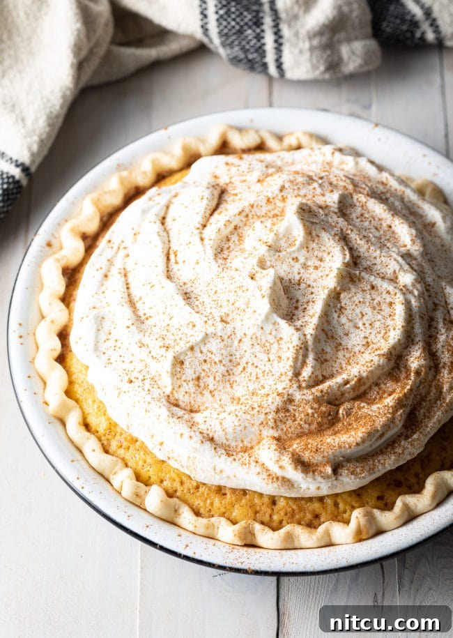 A beautiful, creamy Tres Leches Pie, whole and untouched, adorned with a perfect dome of whipped cream and a hint of cinnamon.