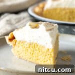 Tres Leches Pie Recipe (Cake in a Pie!) #ASpicyPerspective #cake #pie #thanksgiving #creampie