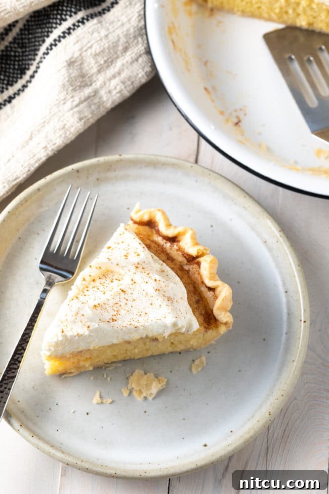 Close-up overhead view of a Tres Leches Pie, highlighting its beautifully baked golden crust and creamy white topping.