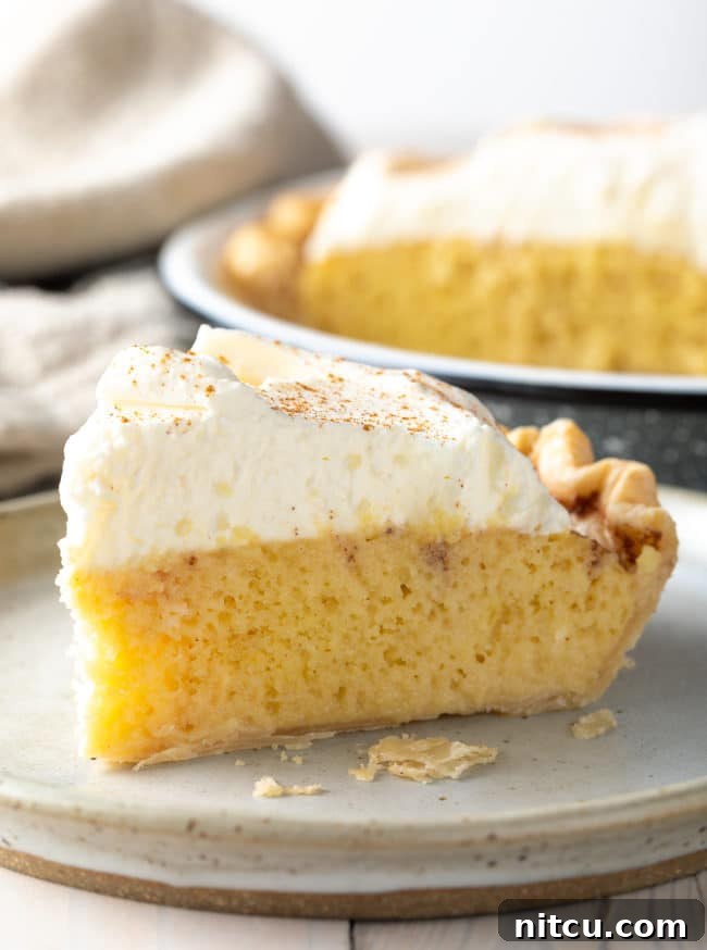 A delectable wedge of Holiday Tres Leches Pie, showcasing its golden crust, moist interior, and a lavish swirl of whipped cream.