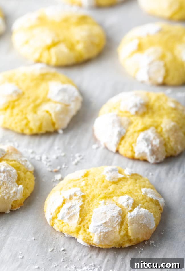 A pristine baking sheet, lined with parchment paper, showcasing neat rows of freshly baked Lemon Crinkle Cookies.