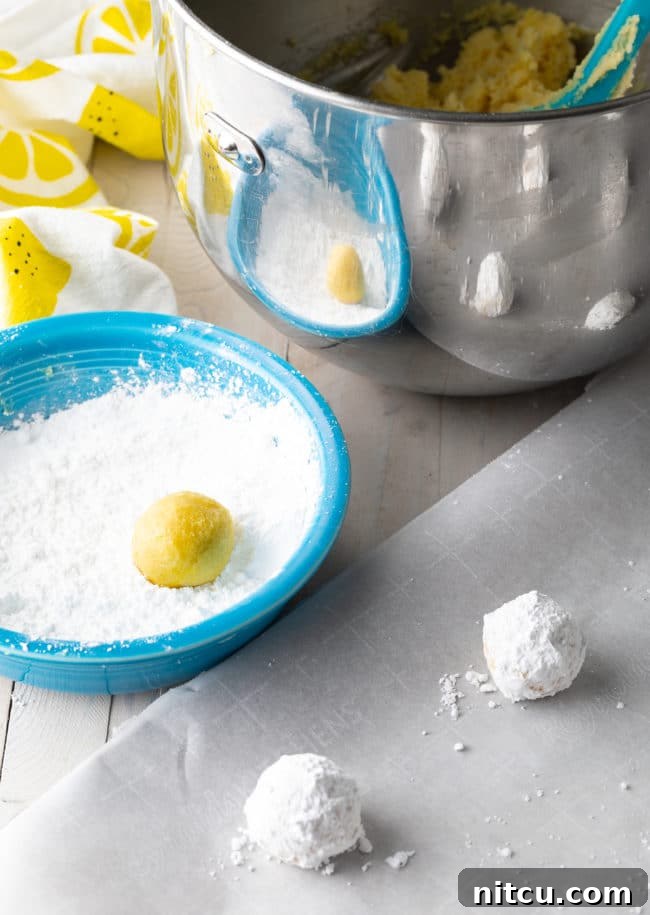 Perfectly portioned cookie dough balls being rolled in a bowl of powdered sugar, ready for baking.