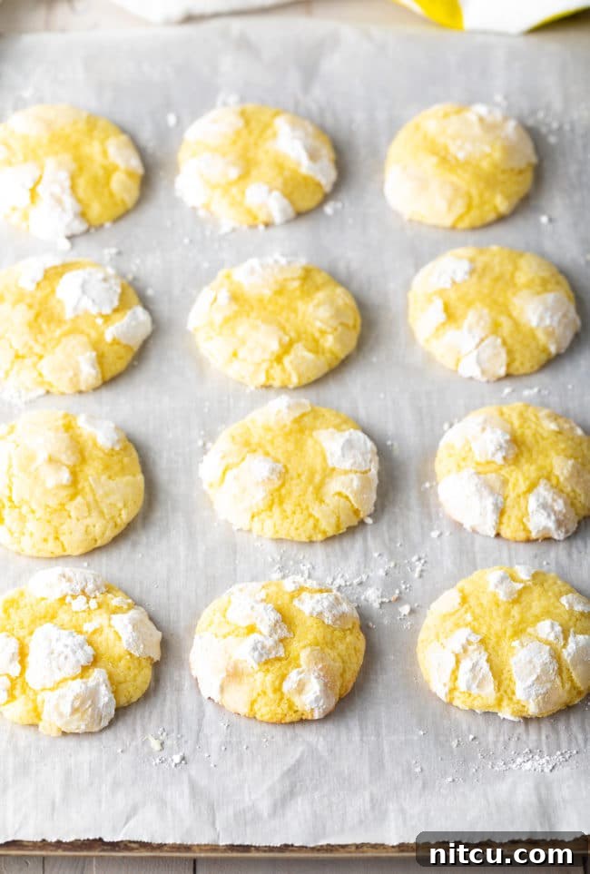 A close-up shot of freshly baked Lemon Crinkle Cookies, still warm on a baking sheet, showcasing their beautiful crinkled tops.