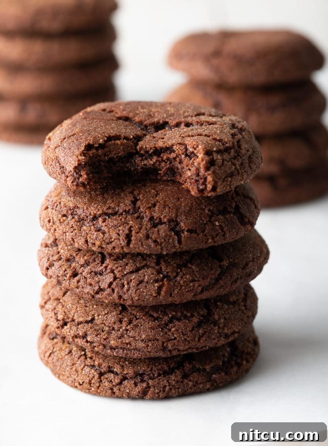 Chocolate Snickerdoodles Recipe stacked high on the counter, showcasing their delicious texture and cinnamon-sugar coating