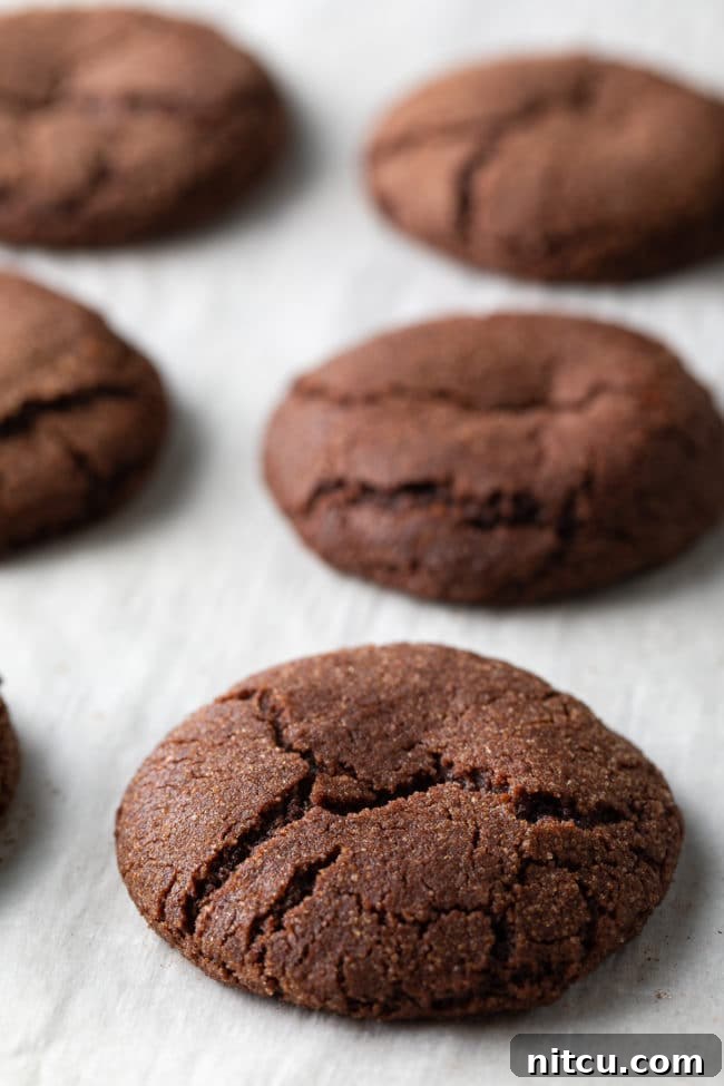 Chocolate Snickerdoodle Cookies fresh from the oven, cooling on cookie sheets