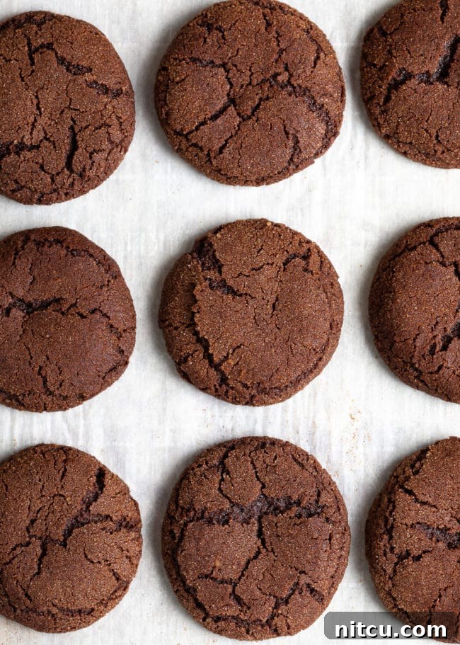 Overhead shot of freshly baked Best Chocolate Snickerdoodle Cookies on a baking sheet