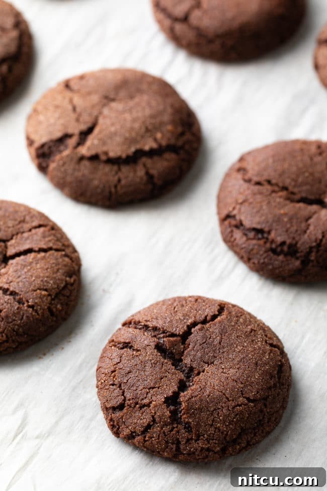 Easy Snickerdoodle Cookies with chocolate, perfectly baked with beautiful cracks on top