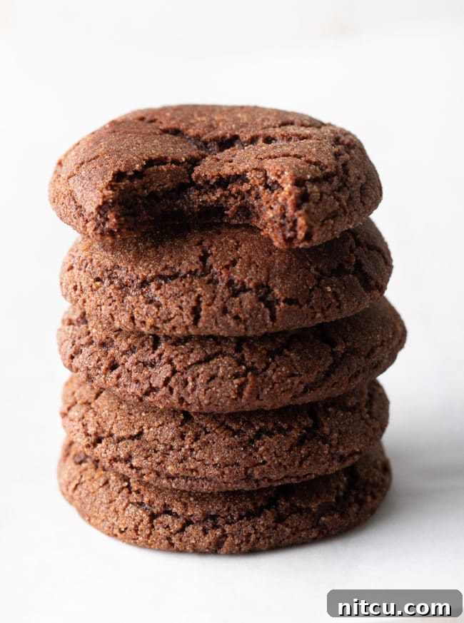 Chocolate Snickerdoodle Cookies with a delicious bite taken out
