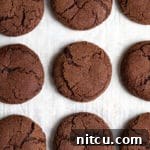 Best Chocolate Snickerdoodles Recipe