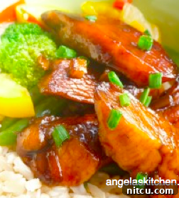 Gluten Free Dairy Free Balsamic Glazed Chicken
