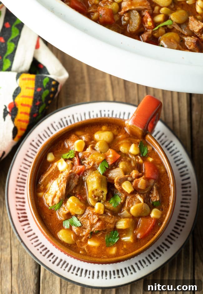 Overhead shot of a steaming bowl of crockpot Brunswick stew, garnished and ready for serving.