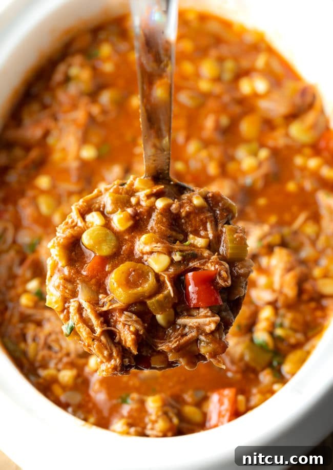 Ladle of Southern stew with the pot of soup underneath in the background, showcasing the rich texture.