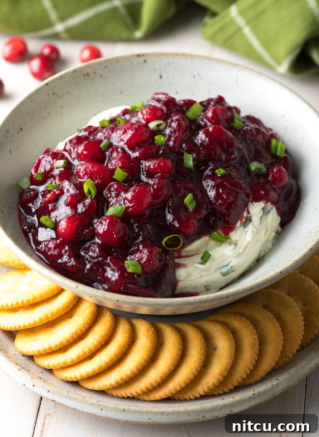 Cranberry Jalapeno Cream Cheese Dip served in a ceramic bowl, surrounded by crispy butter crackers, highlighting its perfect texture and rich colors.