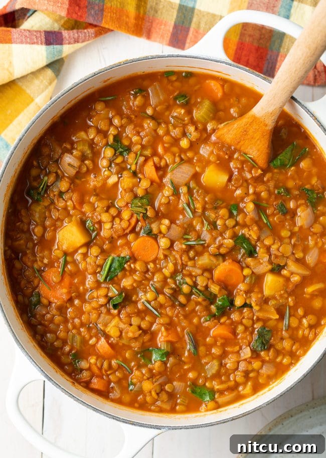 Hearty Tuscan Lentil Soup, a healthy and satisfying vegetarian meal, perfect for any season.