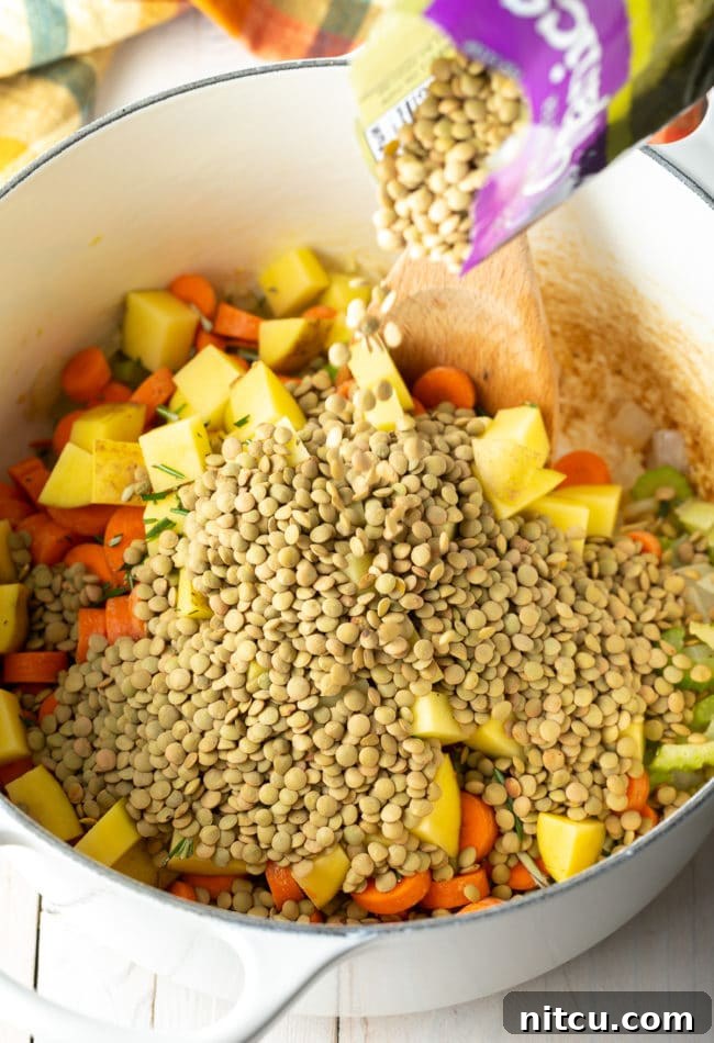 Adding lentils to a simmering pot, preparing a delicious and healthy Tuscan Lentil Soup.