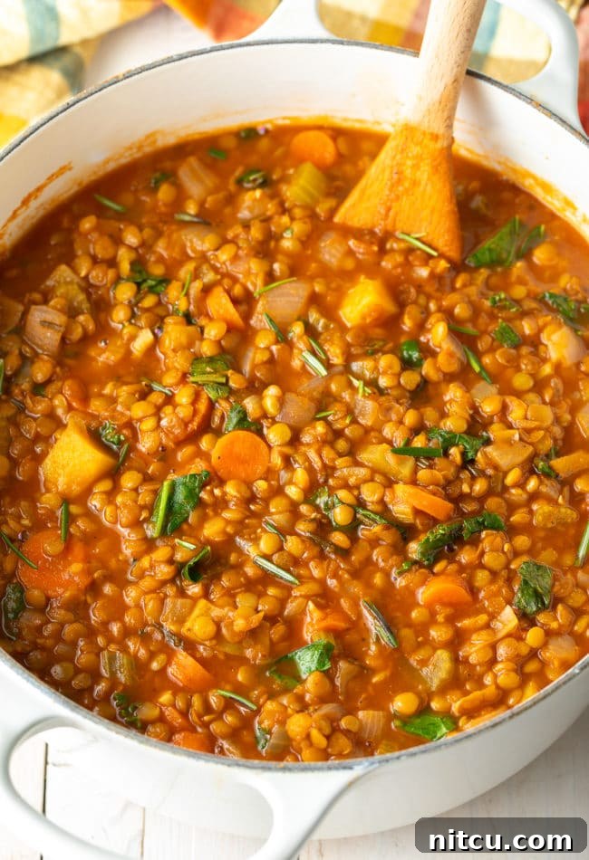 A bowl of hot Vegan Lentil Soup, a delicious and healthy plant-based meal that's also gluten-free.