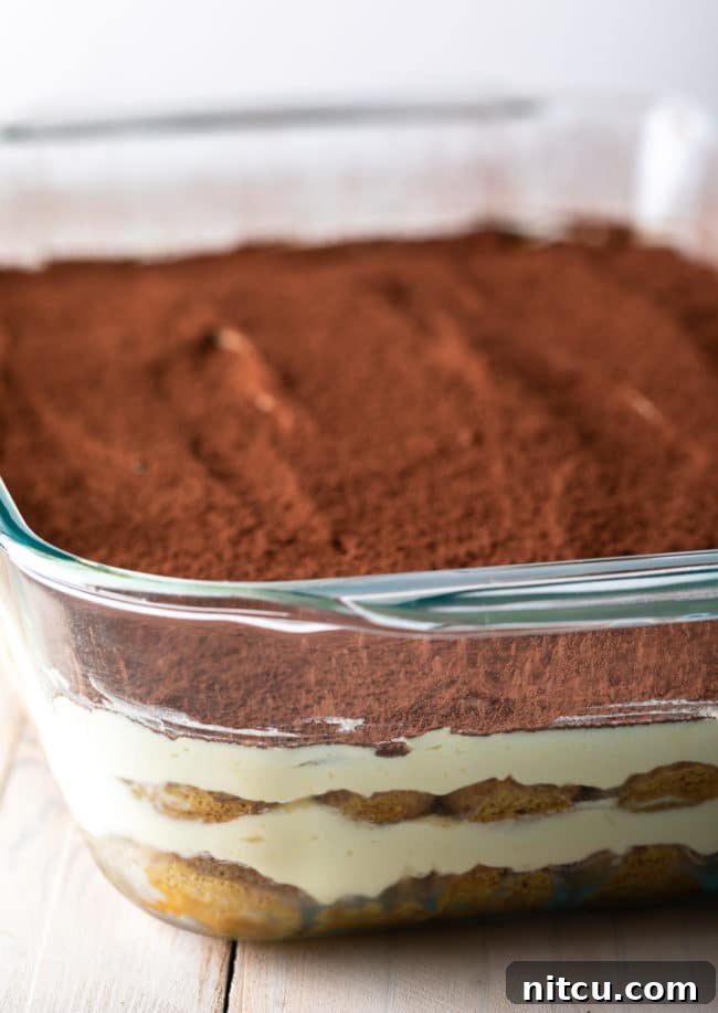 The finished tiramisu, artfully layered in a baking dish, ready for chilling and its final cocoa dusting.